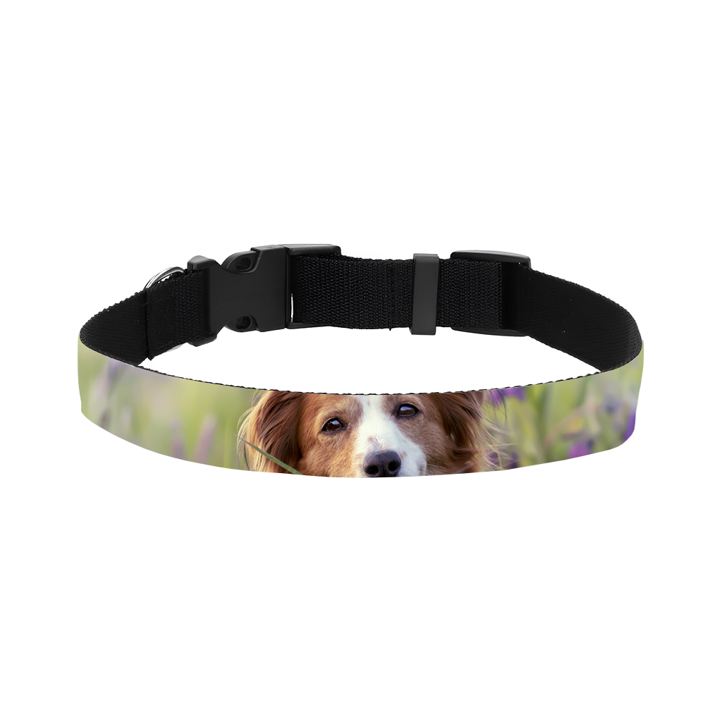 Halsband | 75cm