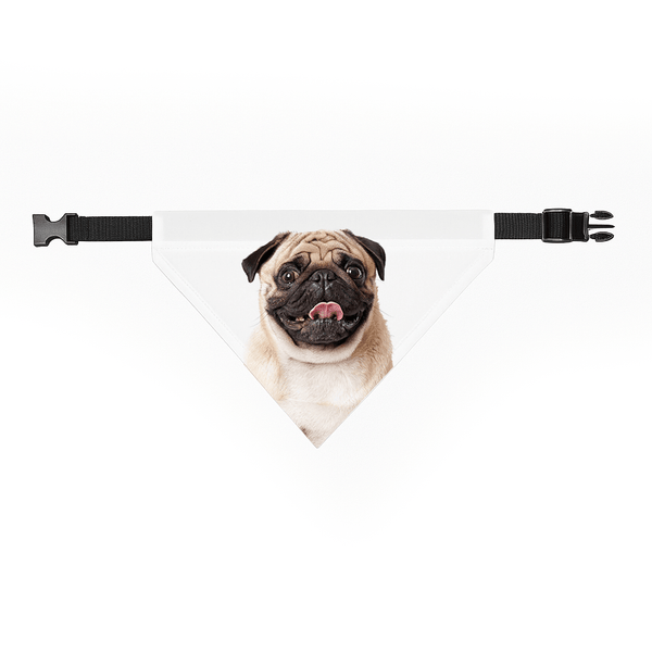Halsband met Sjaal - Social - Gift.nl