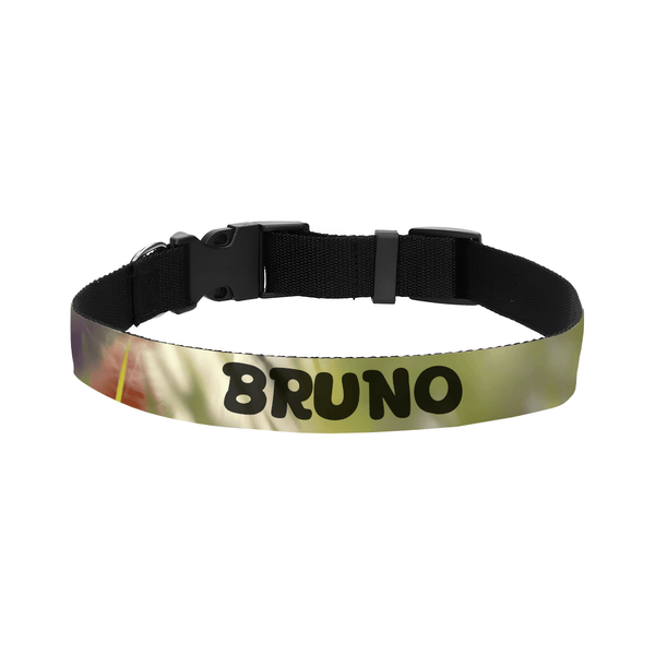 Halsband | 75cm - Social - Gift.nl