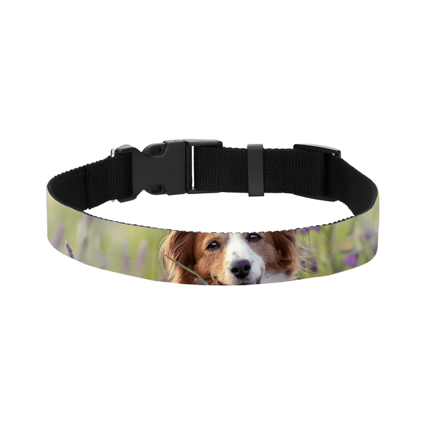 Halsband | 70cm - Social - Gift.nl
